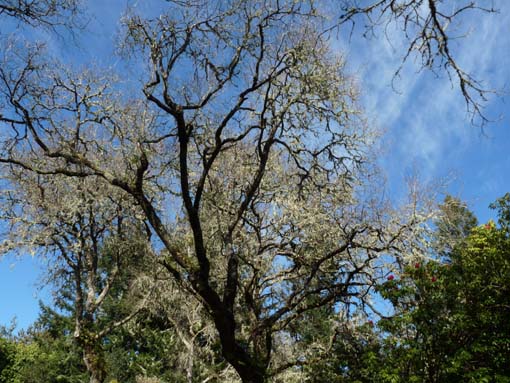 10-Qeimadas--Caldeirao-Verde-005