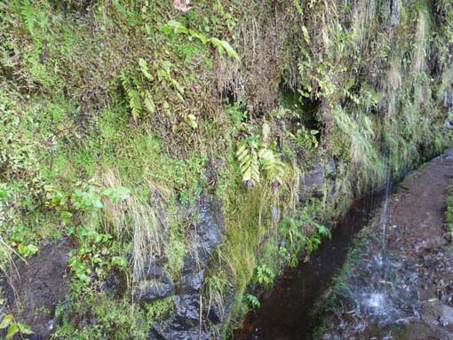 10-Qeimadas--Caldeirao-Verde-015