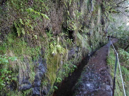 10-Qeimadas--Caldeirao-Verde-016