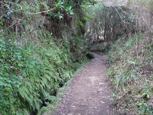 10-Qeimadas--Caldeirao-Verde-020