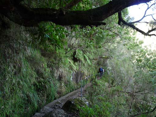 10-Qeimadas--Caldeirao-Verde-021