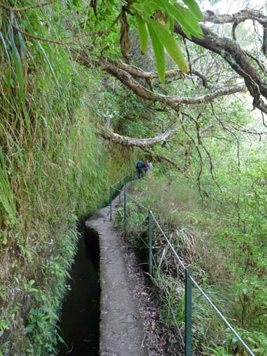 10-Qeimadas--Caldeirao-Verde-025