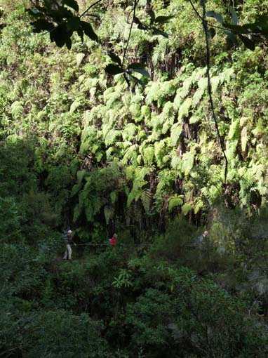 10-Qeimadas--Caldeirao-Verde-027