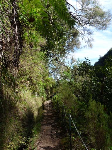 10-Qeimadas--Caldeirao-Verde-037