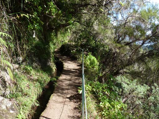 10-Qeimadas--Caldeirao-Verde-039