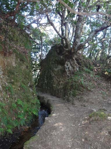 10-Qeimadas--Caldeirao-Verde-043
