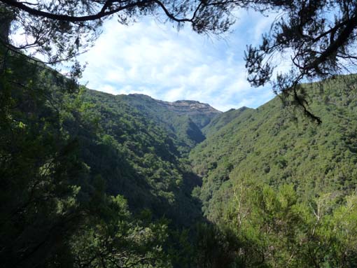 10-Qeimadas--Caldeirao-Verde-045