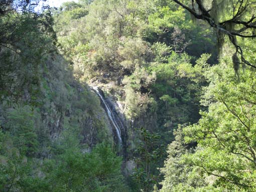 10-Qeimadas--Caldeirao-Verde-050