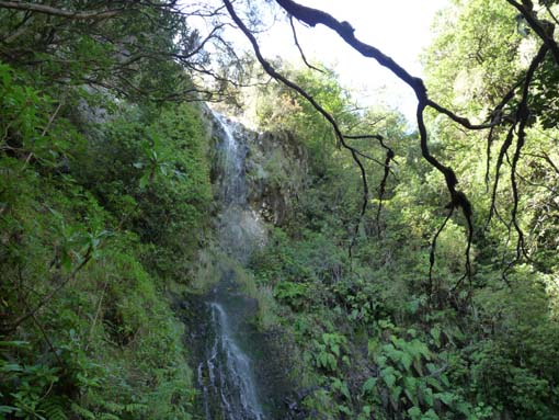 10-Qeimadas--Caldeirao-Verde-051