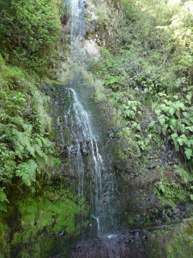 Wasserfall, Madeira