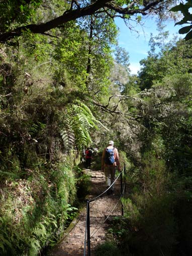 10-Qeimadas--Caldeirao-Verde-057