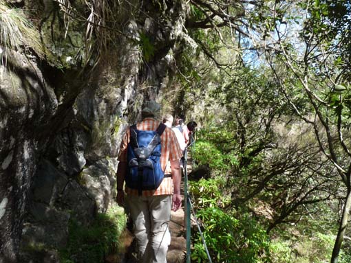 10-Qeimadas--Caldeirao-Verde-058