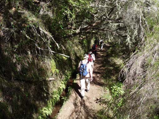 10-Qeimadas--Caldeirao-Verde-060