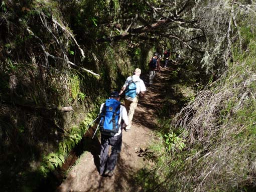 10-Qeimadas--Caldeirao-Verde-061