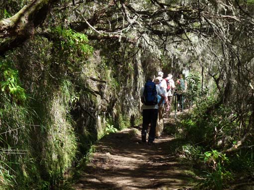 10-Qeimadas--Caldeirao-Verde-062