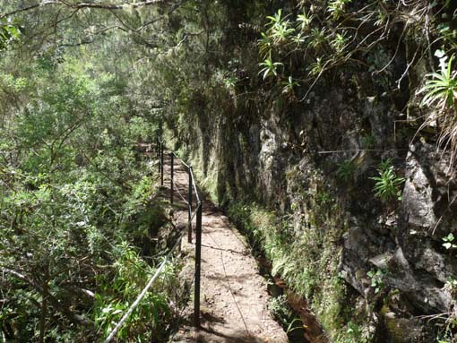 10-Qeimadas--Caldeirao-Verde-064