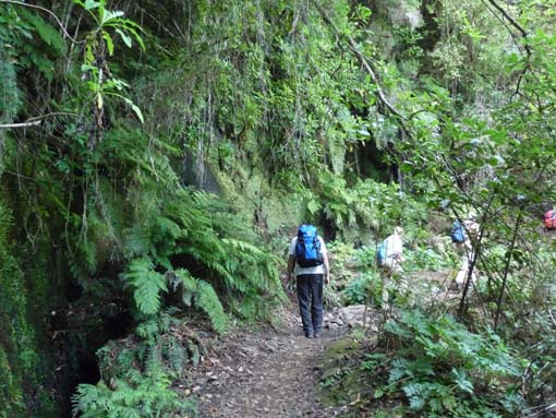 10-Qeimadas--Caldeirao-Verde-066