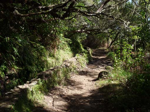 10-Qeimadas--Caldeirao-Verde-067