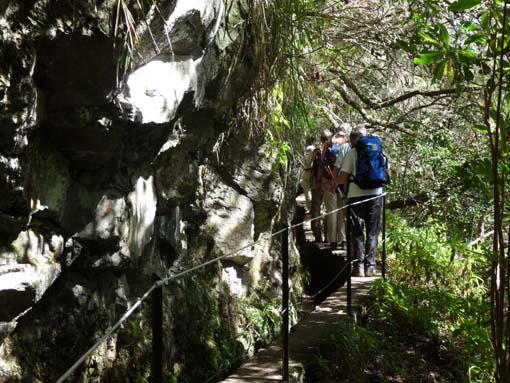 10-Qeimadas--Caldeirao-Verde-070