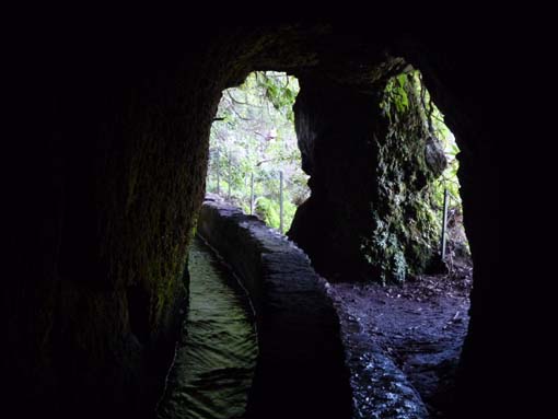 10-Qeimadas--Caldeirao-Verde-094