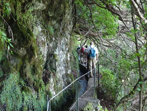 10-Qeimadas--Caldeirao-Verde-099