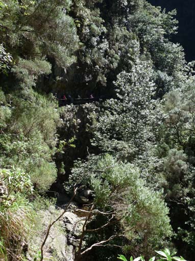 10-Qeimadas--Caldeirao-Verde-113