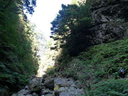 10-Qeimadas--Caldeirao-Verde-118