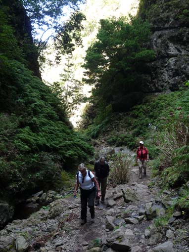 10-Qeimadas--Caldeirao-Verde-126