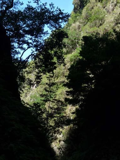 10-Qeimadas--Caldeirao-Verde-127