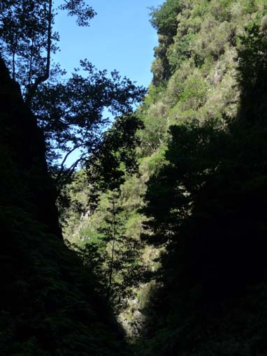 10-Qeimadas--Caldeirao-Verde-128