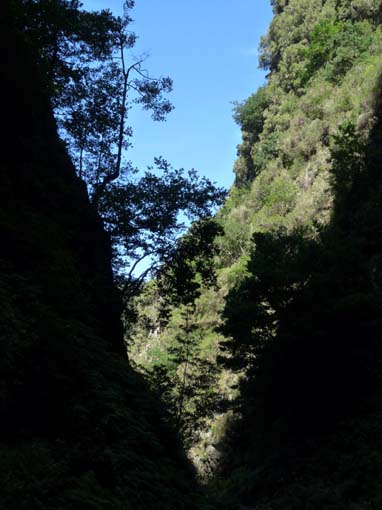 10-Qeimadas--Caldeirao-Verde-129