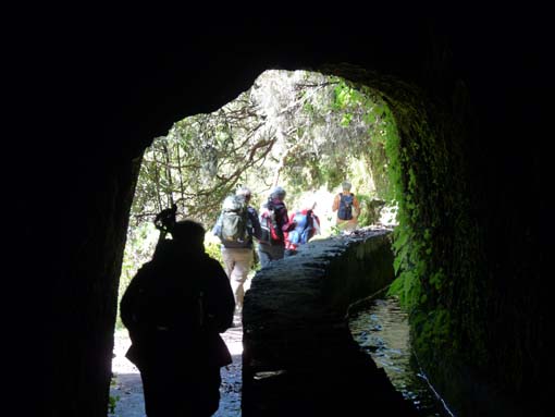 10-Qeimadas--Caldeirao-Verde-138