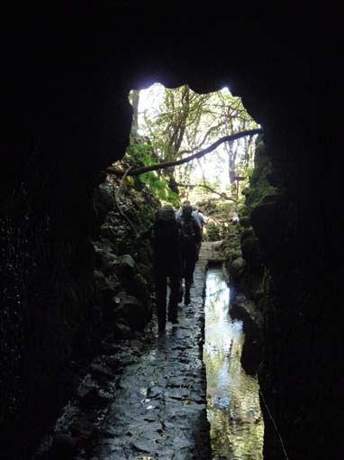 10-Qeimadas--Caldeirao-Verde-139