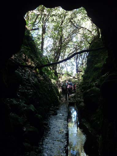 10-Qeimadas--Caldeirao-Verde-140