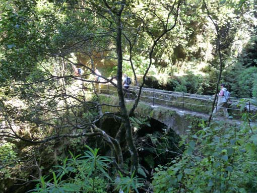 10-Qeimadas--Caldeirao-Verde-141