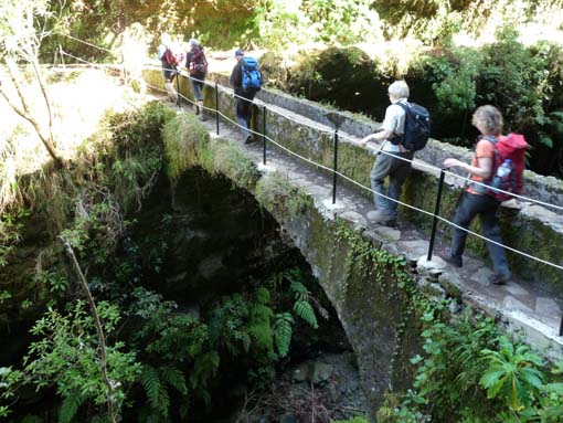 10-Qeimadas--Caldeirao-Verde-142