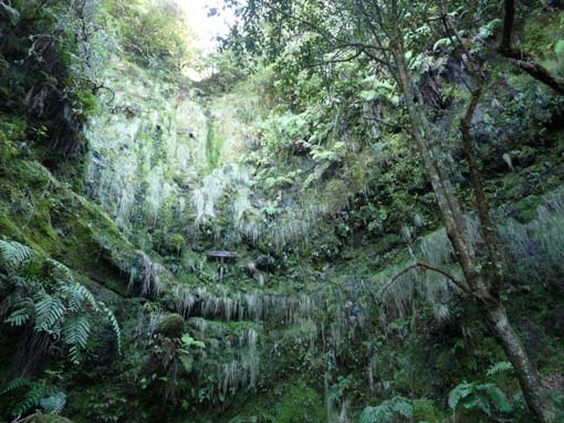 10-Qeimadas--Caldeirao-Verde-144