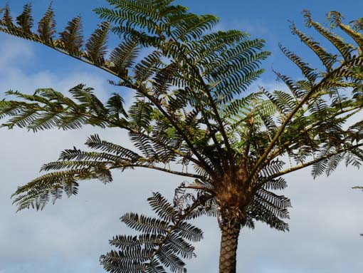 10-Qeimadas--Caldeirao-Verde-161