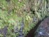 10-Qeimadas--Caldeirao-Verde-015
