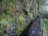 10-Qeimadas--Caldeirao-Verde-016