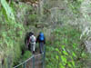 10-Qeimadas--Caldeirao-Verde-022