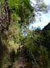 10-Qeimadas--Caldeirao-Verde-037