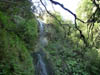 10-Qeimadas--Caldeirao-Verde-051