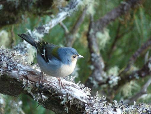 03-Rabacal-LevadaDoRisco-Lev25Fontes-007