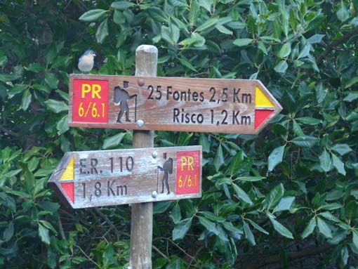 03-Rabacal-LevadaDoRisco-Lev25Fontes-008