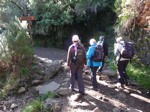 03-Rabacal-LevadaDoRisco-Lev25Fontes-016