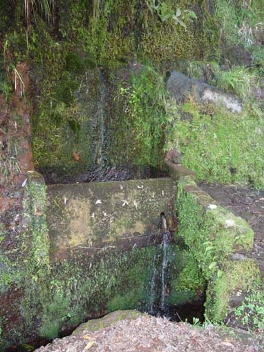 03-Rabacal-LevadaDoRisco-Lev25Fontes-018