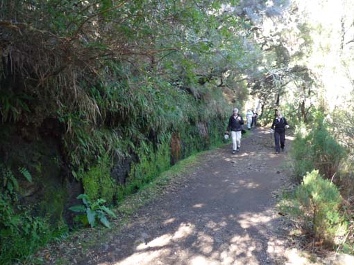 03-Rabacal-LevadaDoRisco-Lev25Fontes-019