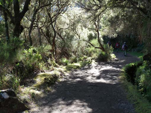 03-Rabacal-LevadaDoRisco-Lev25Fontes-020