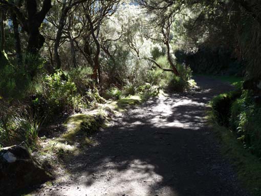 03-Rabacal-LevadaDoRisco-Lev25Fontes-021